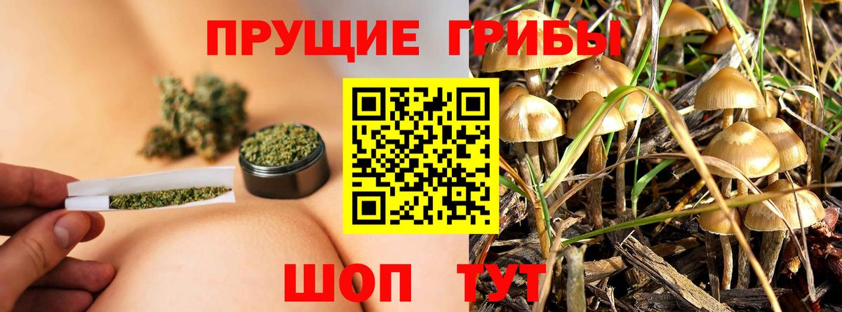 Саранск  Псилоцибиновые грибы Magic Shrooms  Вход с VPN  Псилоцибиновые грибы мухоморы 